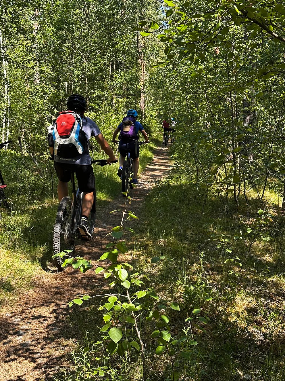 Mtb courses near me sales